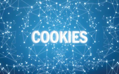 Ventajas De Crearte Tu Propia Base De Datos En Un Mundo Post Cookies