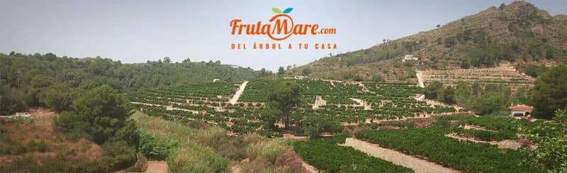 frutamare
