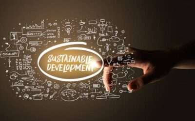 Marketing sustentável: como podem as empresas ser responsáveis e eficazes